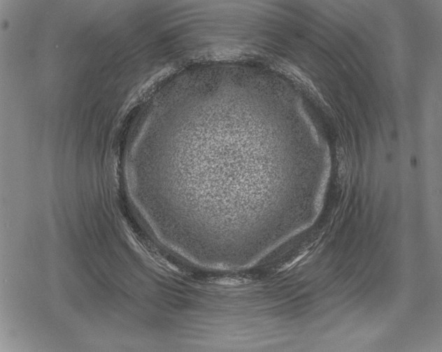 X0000080200542200612221408