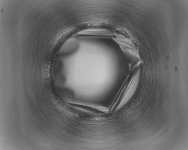 X0000080200543200612221408