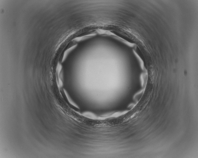 X0000080200544200612221408