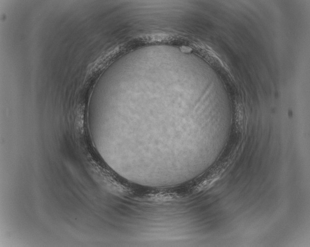 X0000080200545200612221408