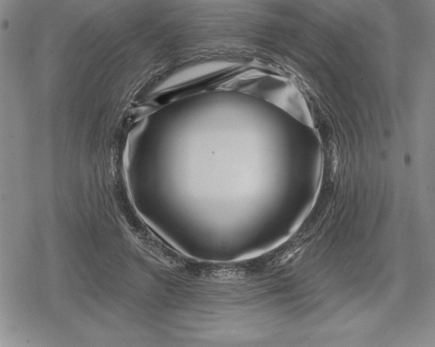 X0000080200546200612221408