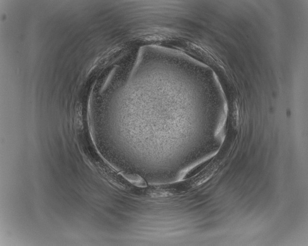 X0000080200547200612221408