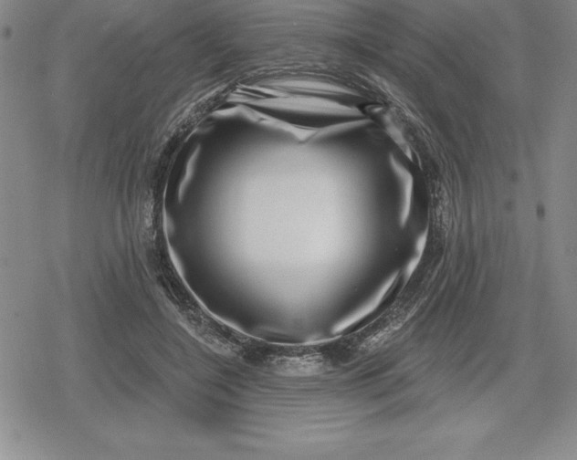 X0000080200548200612221408