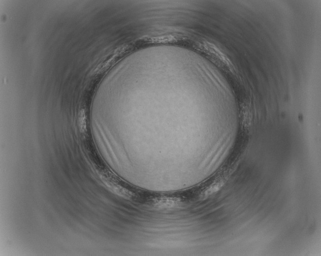 X0000080200549200612221408