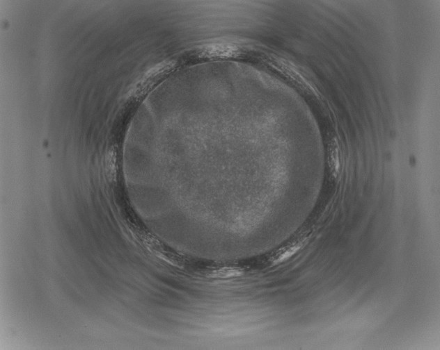 X0000080200551200612221408