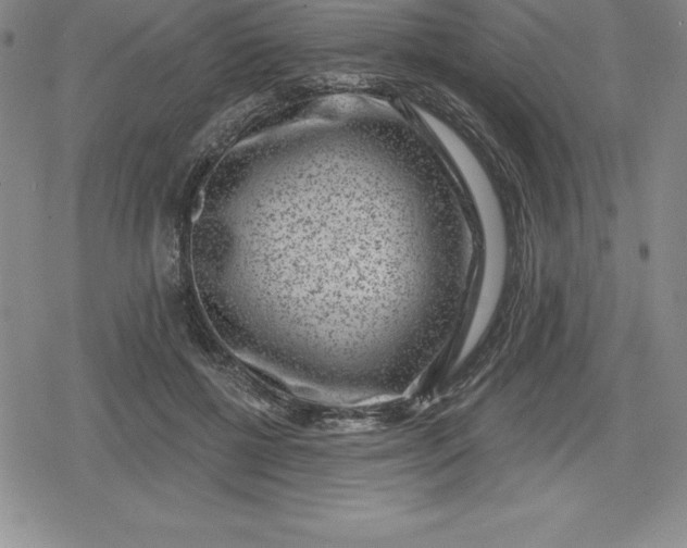 X0000080200552200612221408