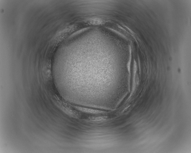 X0000080200553200612221408