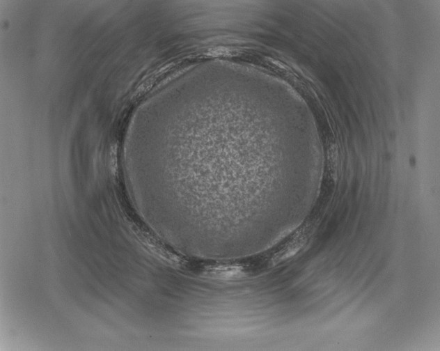 X0000080200554200612221408