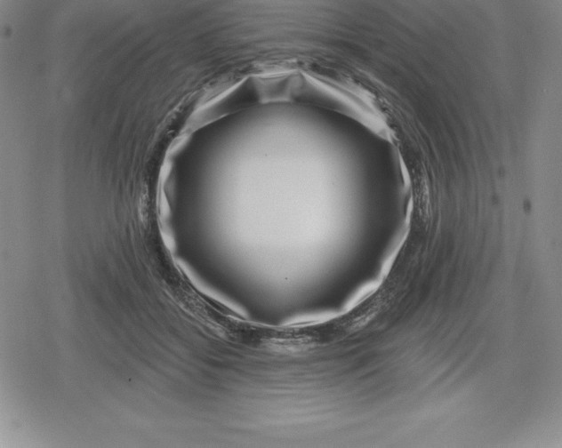 X0000080200556200612221408