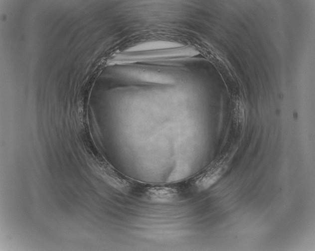 X0000080200557200612221408