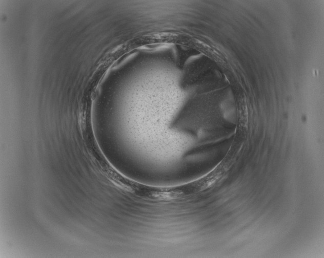 X0000080200558200612221408