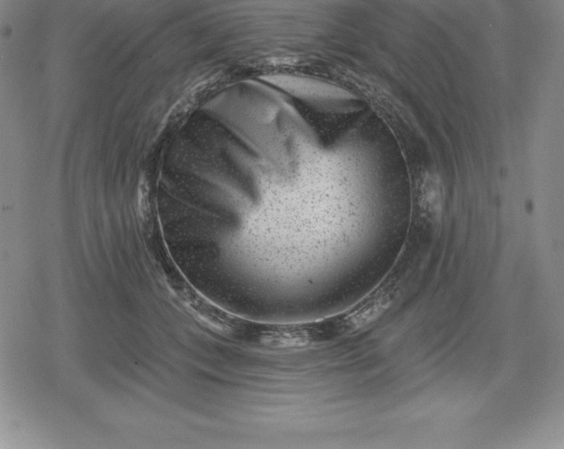 X0000080200559200612221408