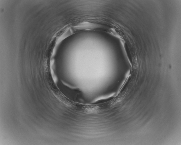 X0000080200560200612221408