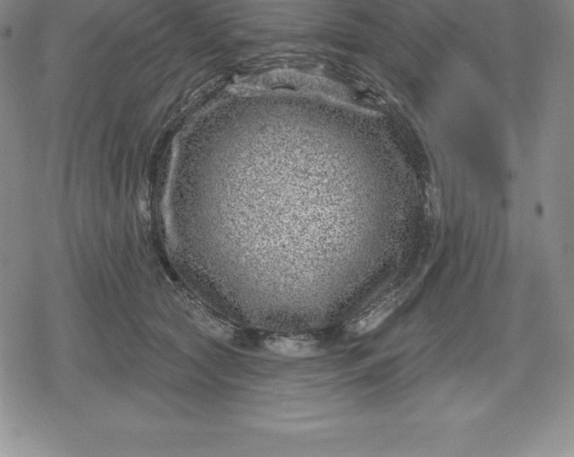 X0000080200561200612221408