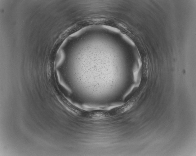 X0000080200562200612221408