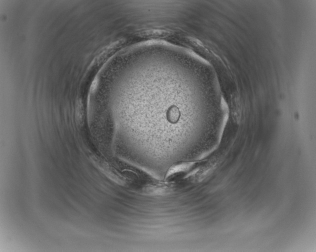 X0000080200563200612221408