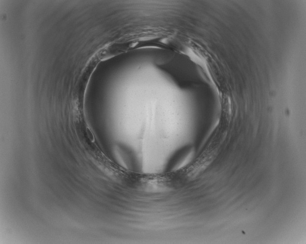 X0000080200564200612221408