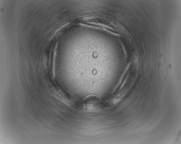 X0000080200565200612221408