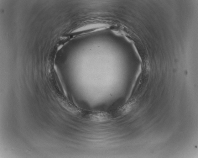 X0000080200567200612221408