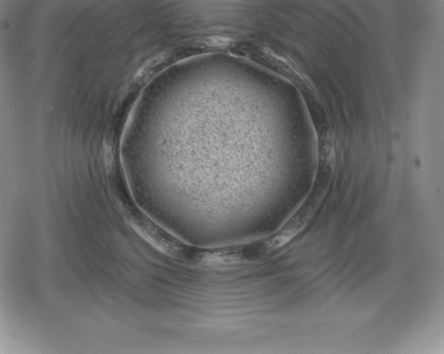 X0000080200568200612221408