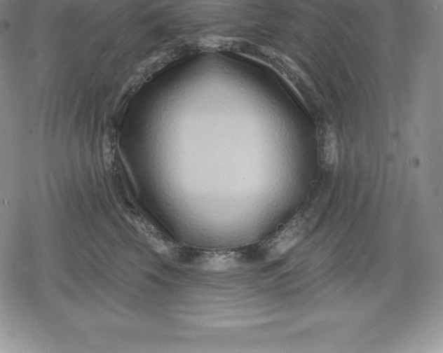 X0000080200569200612221408