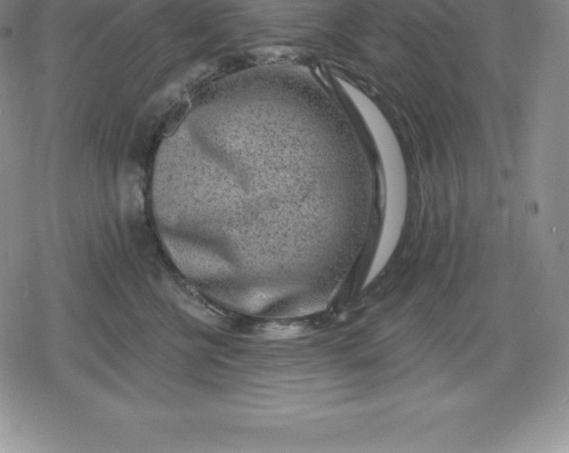 X0000080200570200612221408