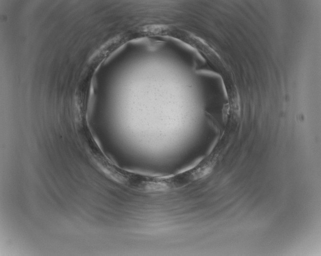 X0000080200572200612221408