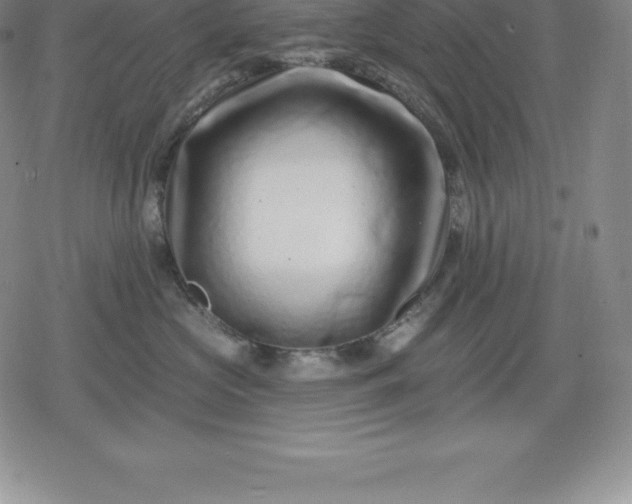 X0000080200573200612221408