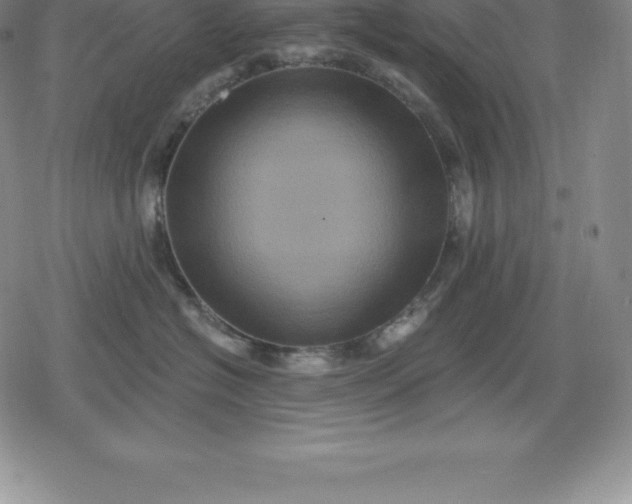 X0000080200574200612221408