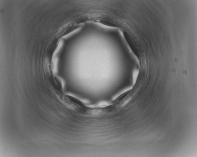 X0000080200575200612221408