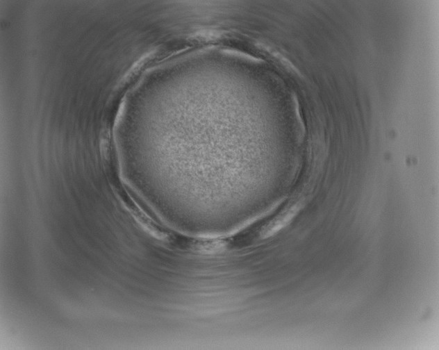 X0000080200576200612221408