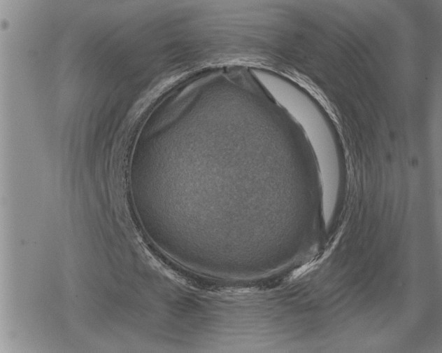 X0000080200577200612221408