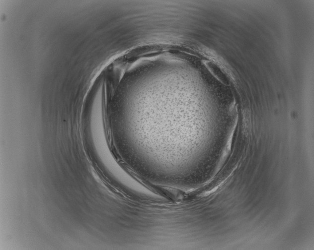 X0000080200580200612221408