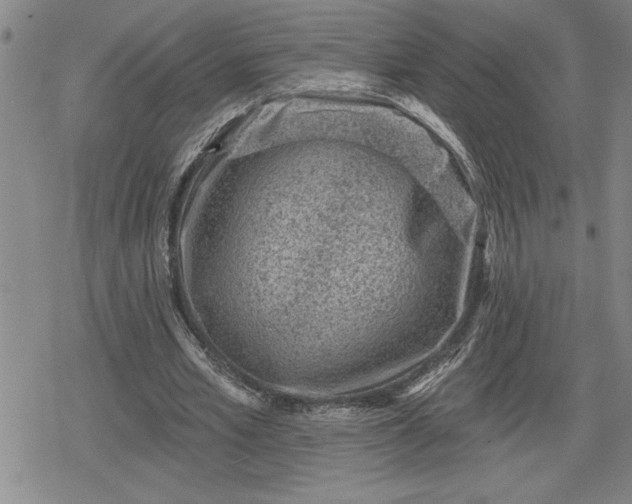 X0000080200581200612221408