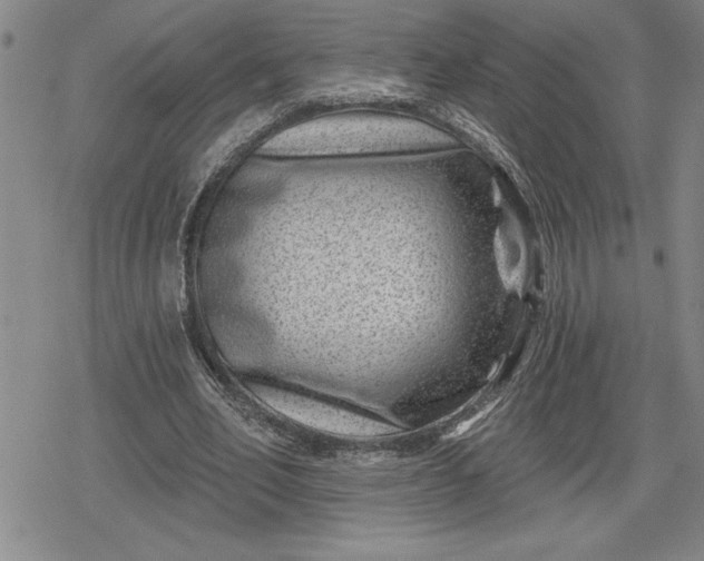 X0000080200582200612221408