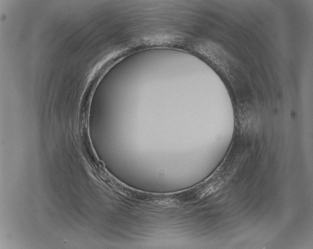 X0000080200583200612221408