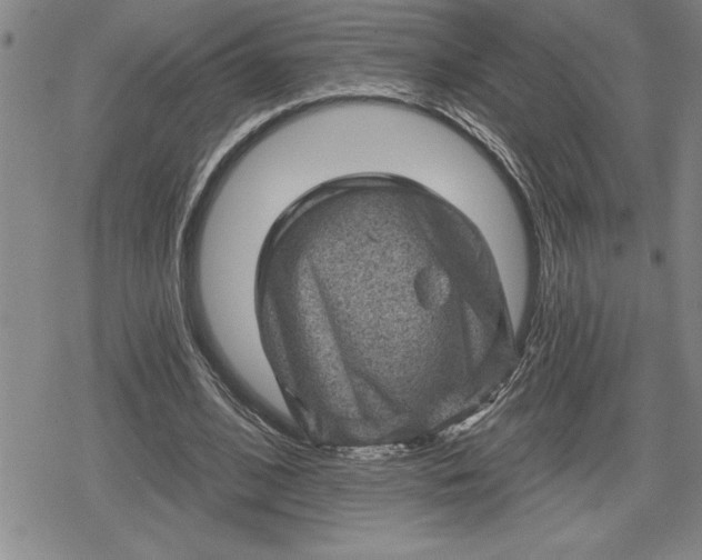 X0000080200584200612221408