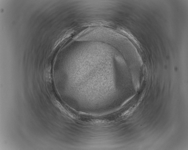 X0000080200585200612221408