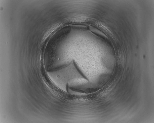 X0000080200586200612221407