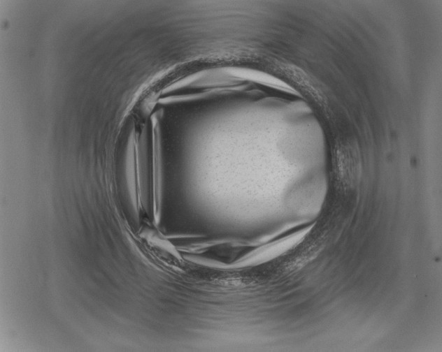 X0000080200588200612221407