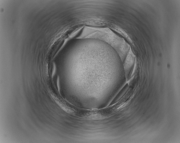 X0000080200589200612221407