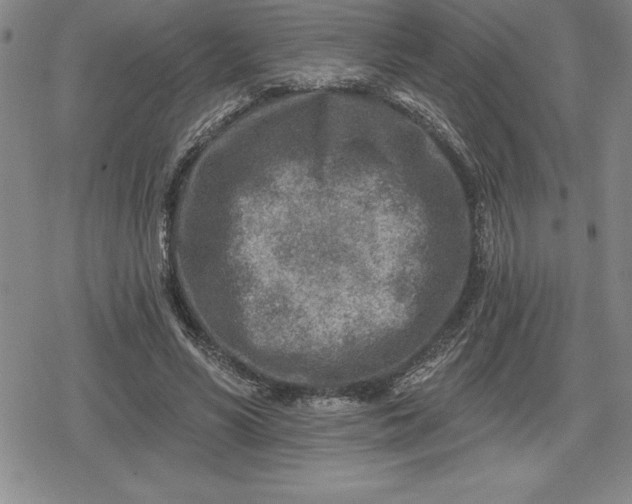 X0000080200590200612221407