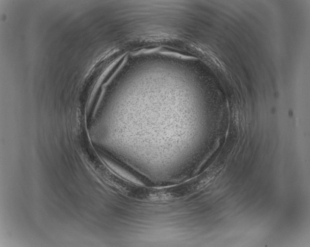 X0000080200591200612221407