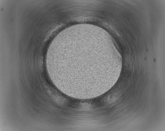 X0000080200592200612221407