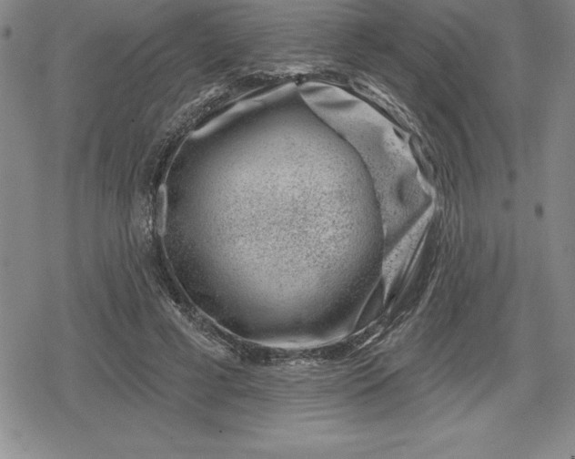 X0000080200593200612221407