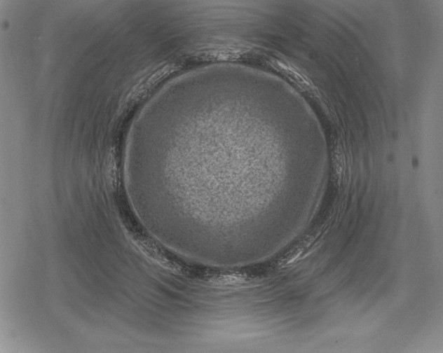 X0000080200594200612221407