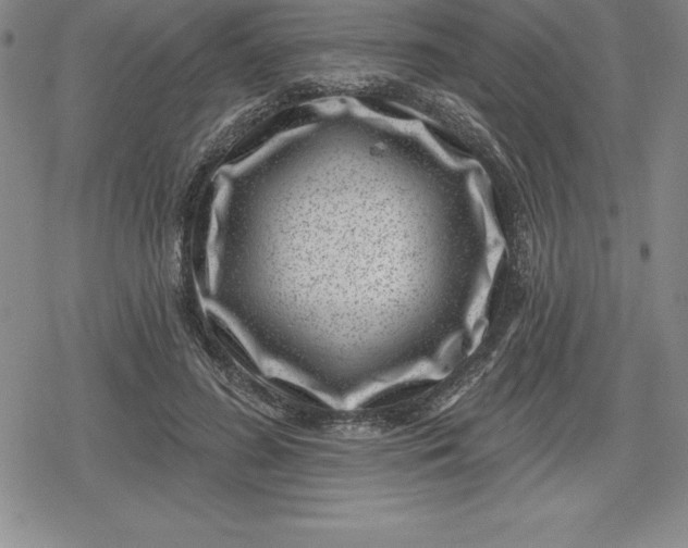 X0000080200596200612221407