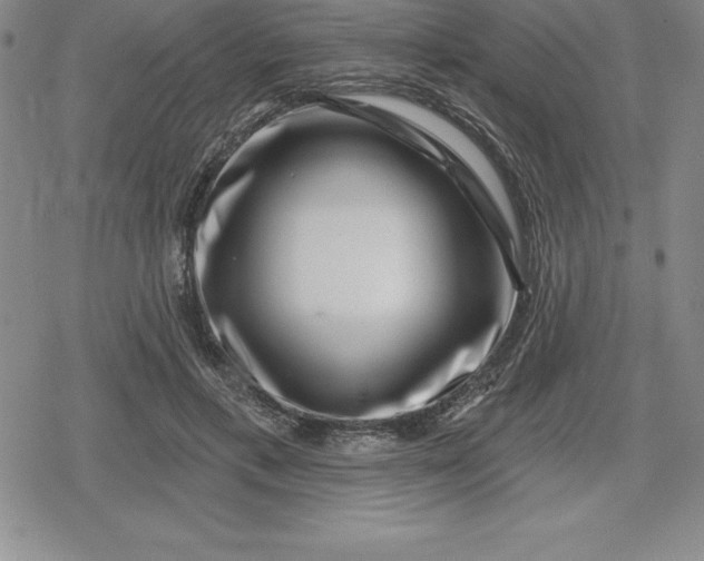 X0000080200597200612221407