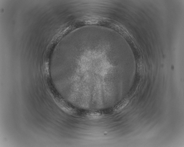 X0000080200598200612221407