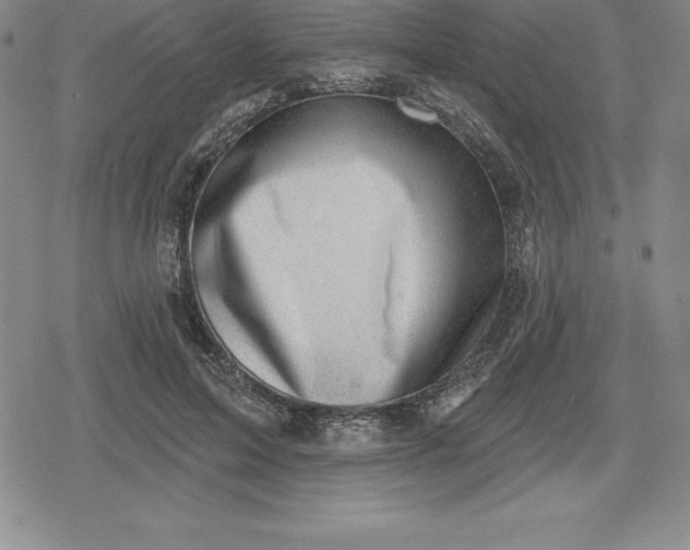 X0000080200599200612221407